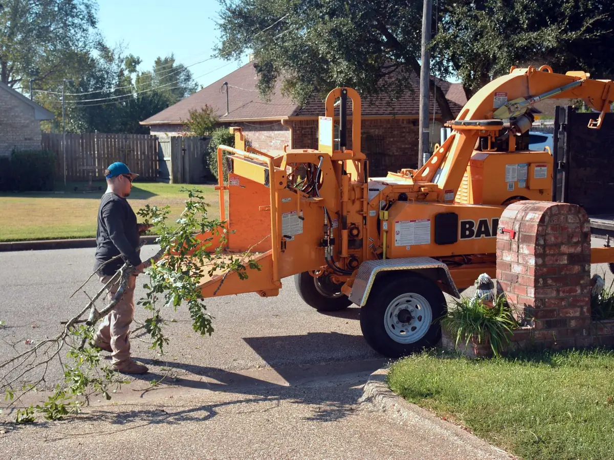A worker feeding cut branches into a wood chipper at the kerbside