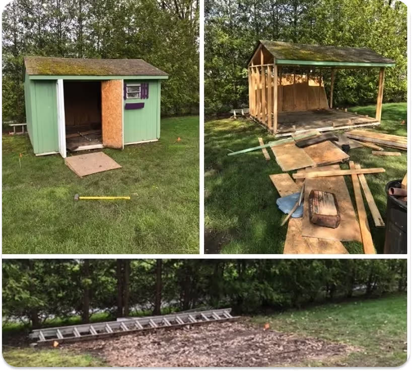 A three-panel sequence of a shed removal: the intact shed, the frame stripped back, and the cleared dirt pad